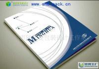專業平面設計服務覆蓋廣州荔灣、白云、增城、南沙，助力企業畫冊設計