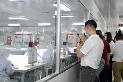 數十家權威媒體齊聚燕之屋透明工廠,匠心品質獲認可